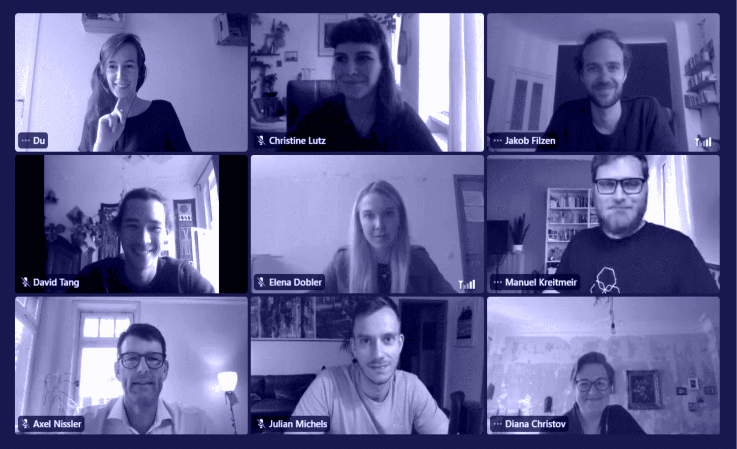 Screengrab of participants online with host
